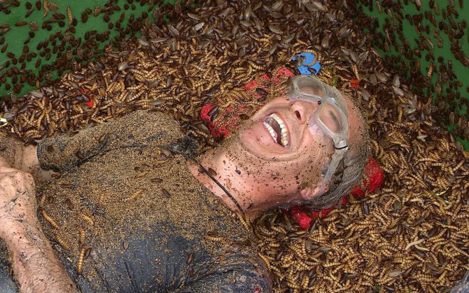 Nigel Farage saw the funny side of the Bushtucker Trial