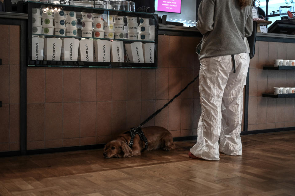 Rebecca Minty y su perra Lottie asisten a la proyección de la película “Strays” en el cine Curzon Aldgate de Londres, el sábado 19 de agosto de 2023. (Mary Turner/The New York Times)
