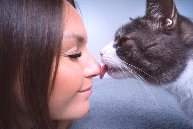 What Your Cat's Behaviors, Body Language, and Sounds Mean - PetHelpful