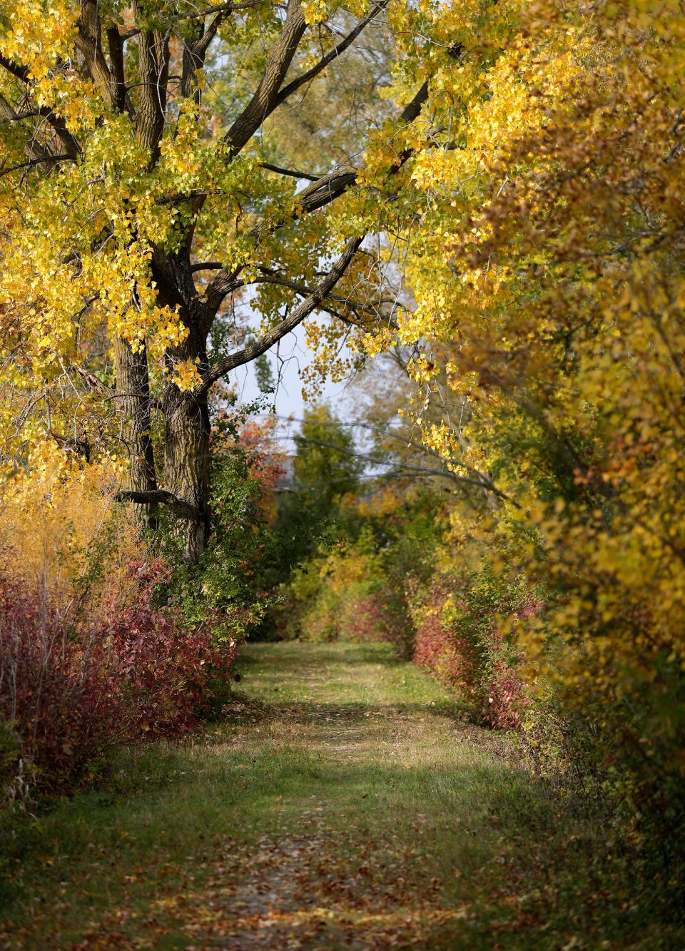 Menasha Conservancy Area on Tuesday, Oct.. 11, 2022, in Menasha, Wis.