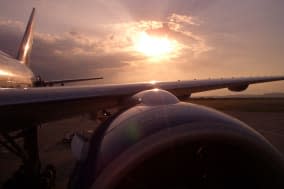 sunbeams on the wing. sun over...