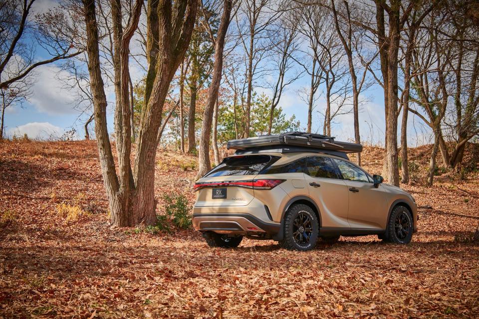 lexus rx outdoor concept