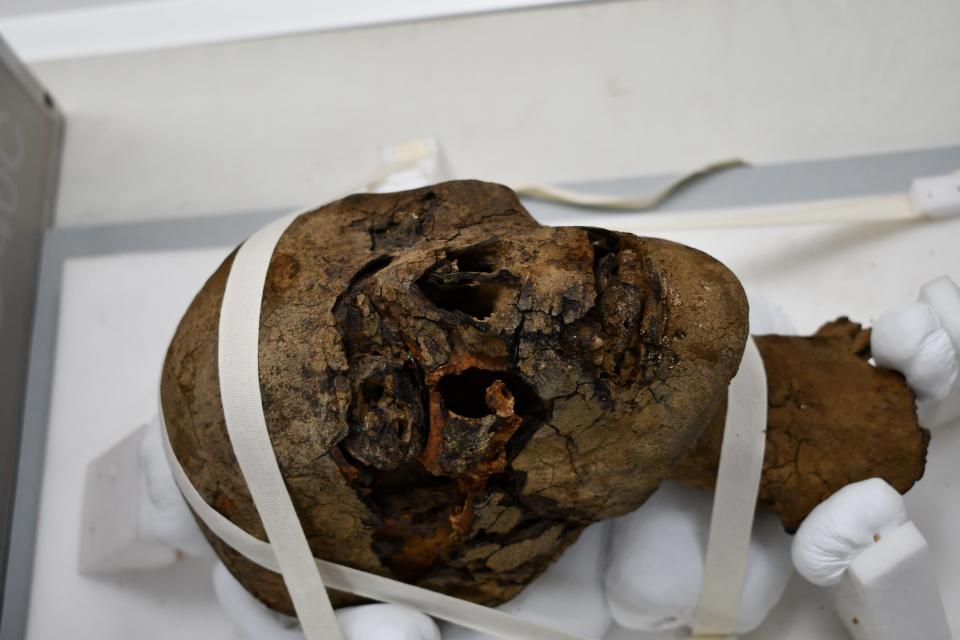 A 2,000 years old Ancient Egyptian mummy head found in an attic in Kent, England.