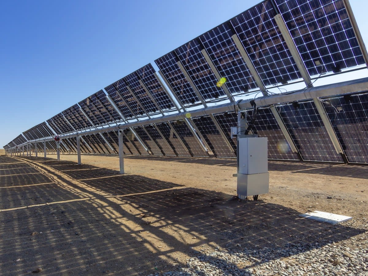 Bifacial solar panels can harvest up to 35 per cent more energy than standard solar panels (Getty Images/ iStock)