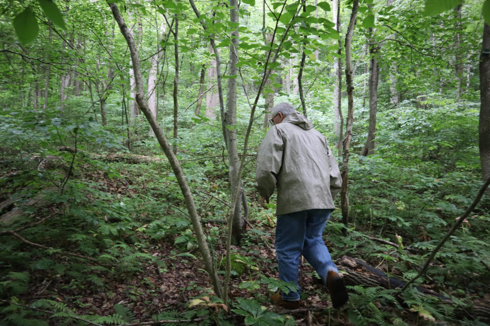 Ed Evans, Democratic West Virginia delegate and retired public school teacher, walks in the overgrown unmarked cemetery where more than 80 coal miners killed in the 1912 Jed Coal and Coke Company disaster are buried on June 7, 2022, in Havaco, W.Va. (AP Photo/Leah Willingham)