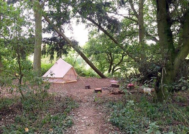 Photo credit: Little Ropers Woodland Camping