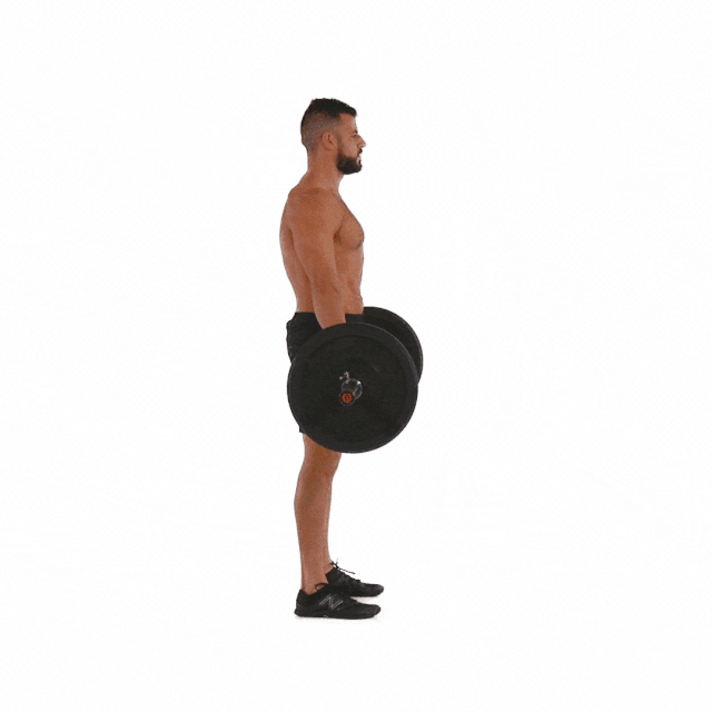 Exercise to Build Big Back Muscles