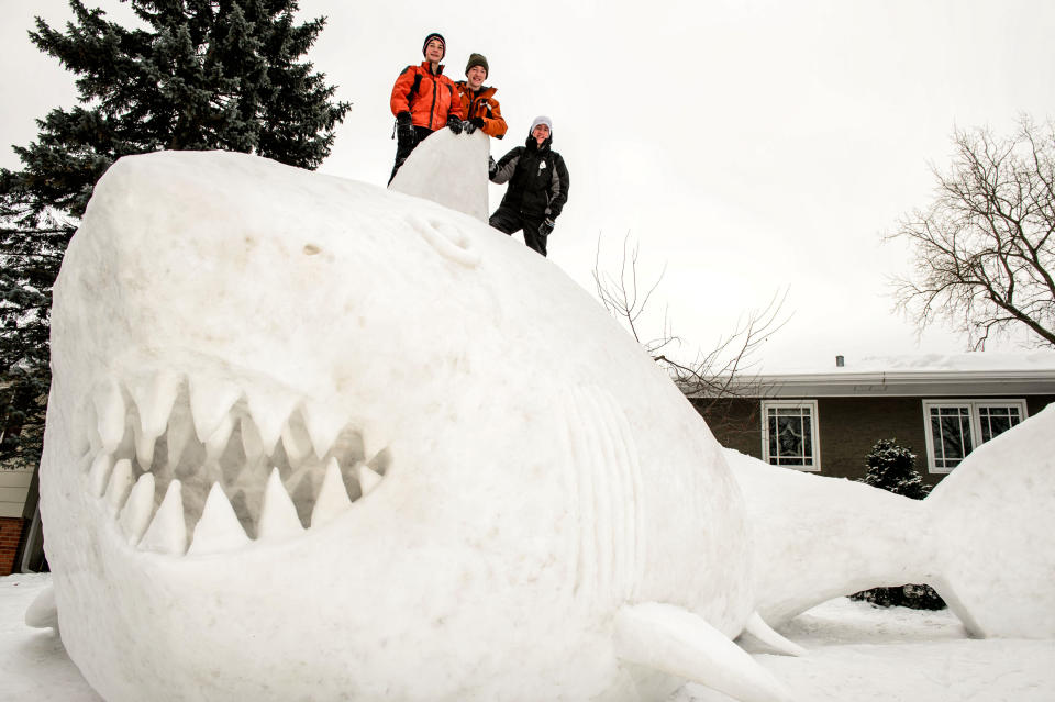 Three brothers, from left, Connor, Trevor and Austin Bartz built this 16 foot high snow shark in the front yard of their New Brighton, Minn. home, Wednesday, Jan. 1, 2014. It took them around 95 hours of work and they gathered the snow from houses in their neighborhood. (AP Photo/Star Tribune, Glen Stubbe) ST. PAUL PIONEER PRESS OUT, MINNEAPOLIS-AREA TV OUT, MAGS OUT