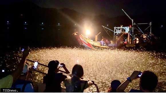 蹦火漁業利用瞬間火光捕撈青鱗魚。（新北市漁業處提供）