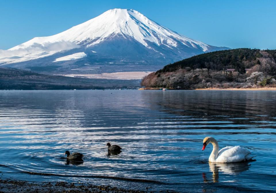 富士山