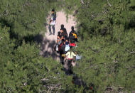 <p>Undocumented immigrant families walk before being taken into custody by Border Patrol agents on July 21, 2014, near McAllen, Texas. (Photo: John Moore/Getty Images) </p>