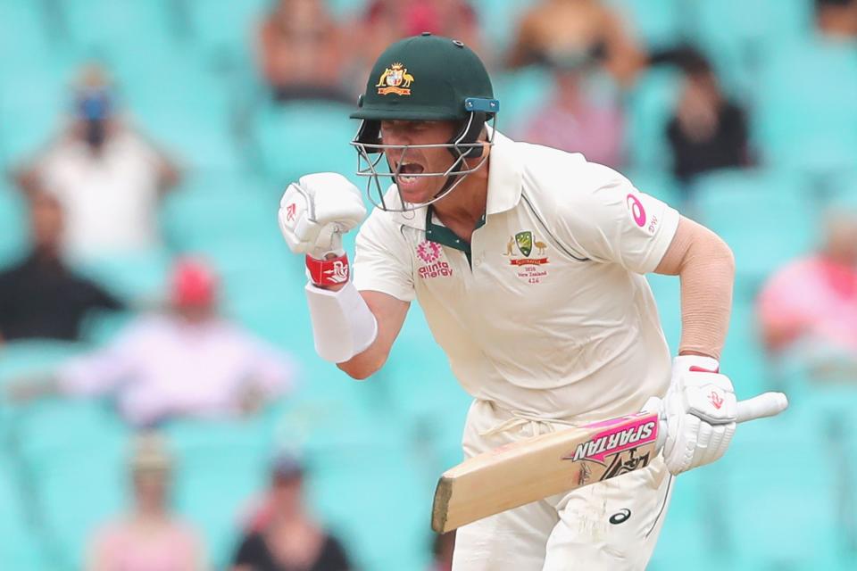 David Warner, pictured here celebrating after reaching his century against New Zealand.