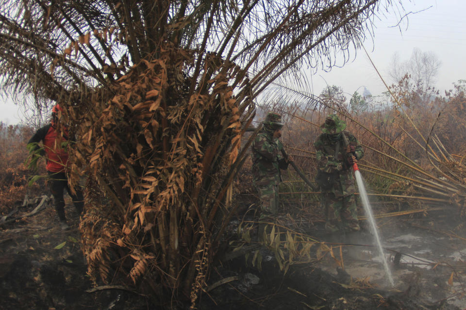 Soldiers spray water to extinguish forest fire at a peatland field in Kampar, Riau province, Indonesia, Tuesday, Sept. 17, 2019. Indonesian authorities have deployed more personnel and aircraft to battle forest fires that are spreading a thick, noxious haze around Southeast Asia. (AP Photo/Rafka Majjid)