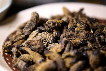 A bowl of Mopane worms stands on the counter for customers to try at the Insect Experience Restaurant in Cape Town, South Africa, August 23, 2019.