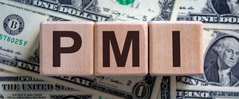 Concept word 'PMI' on cubes on a beautiful background from dollar bills. Business concept.