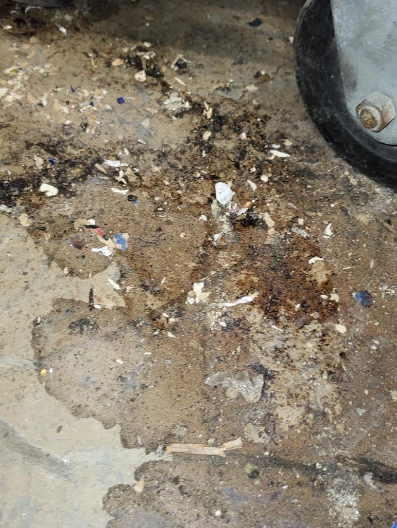 Rat urine and feces is seen on the floor the store room at a Dollar General store in Hutto, Texas.