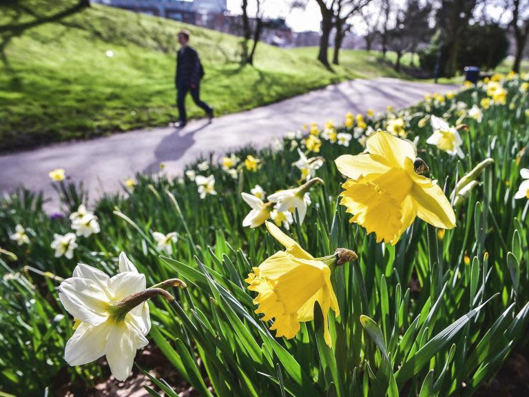 Spring equinox 2018: When is it, what is it and why is it important?