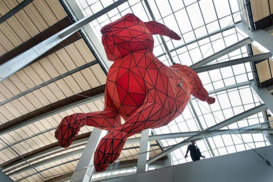 The 56-foot-long, 15-foot diameter “Leap”, a red rabbit made of steel and aluminum by Denver artist Lawrence Argent, hangs from cables inside Terminal B at the Sacramento international Airport.