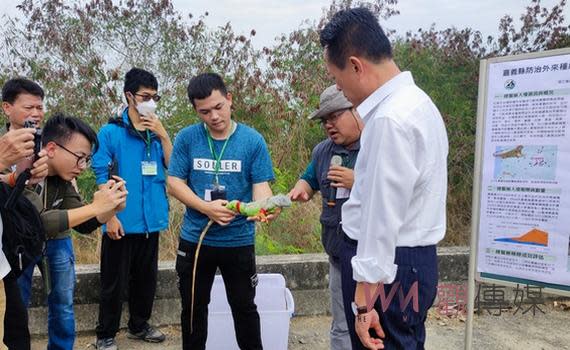 (觀傳媒嘉義新聞)【記者任禮清/嘉義報導】嘉義縣從水上鄉八掌溪旁發現第一隻外來綠鬣蜥蹤跡，眼見族群繁衍迅速積極投入捕捉，2021年至今已移除13000多隻成果豐碩，縣府農業處今年更正式啟動「移除綠鬣蜥補助計畫」，與嘉義大學合作辦理「外來入侵種綠鬣蜥防治訓練工作坊」，於31日在八掌溪畔進行野外實作訓練，縣長翁章梁特別到場了解防治現況，親自授予取得獵人資格的學員臂章，呼籲民眾綠鬣蜥雖然是外來種期盼淨零，但也不能擅自捕捉，以免觸犯野生動物保育法。