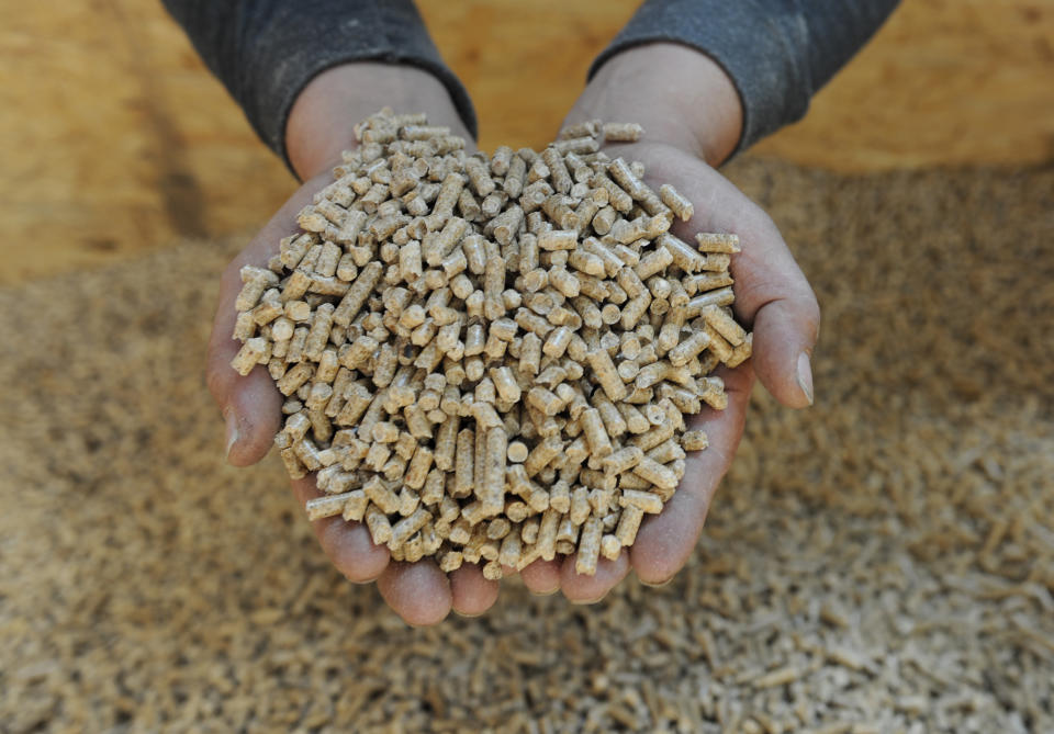 FILE - A worker holds a handful of wood pellets produced in Ettenheim, southern Germany, Oct. 21, 2009. Austrian police warned last week of a significant rise in fraudsters claiming to sell firewood and wood pellets online, while several companies across the country were raided on suspicion that they had engaged in price rigging. The German Pellet Institute also is warning buyers to beware of fake sellers who demand payment in advance and then disappear. (AP Photo/ Winfried Rothermel, File)