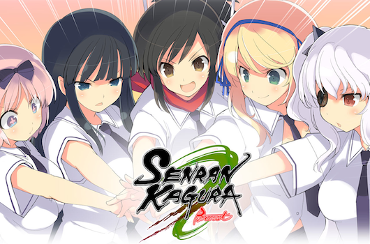 Senran Kagura Burst - Front Cover in 2023