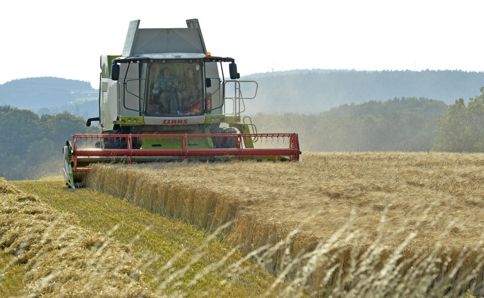 Farmers could be hit by fresh tariffs and rising costs pushing up food prices if there is a ‘no deal’ Brexit, Michael Gove has warned. Stock photo. PA.