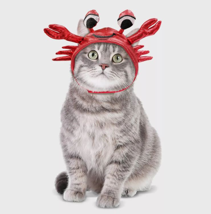 Get this <a href="https://goto.target.com/eDvPZ" target="_blank" rel="noopener noreferrer">Crab Hat Cat Costume for $6</a> at Target. It's one-size-fits-all and has a Velcro strap.