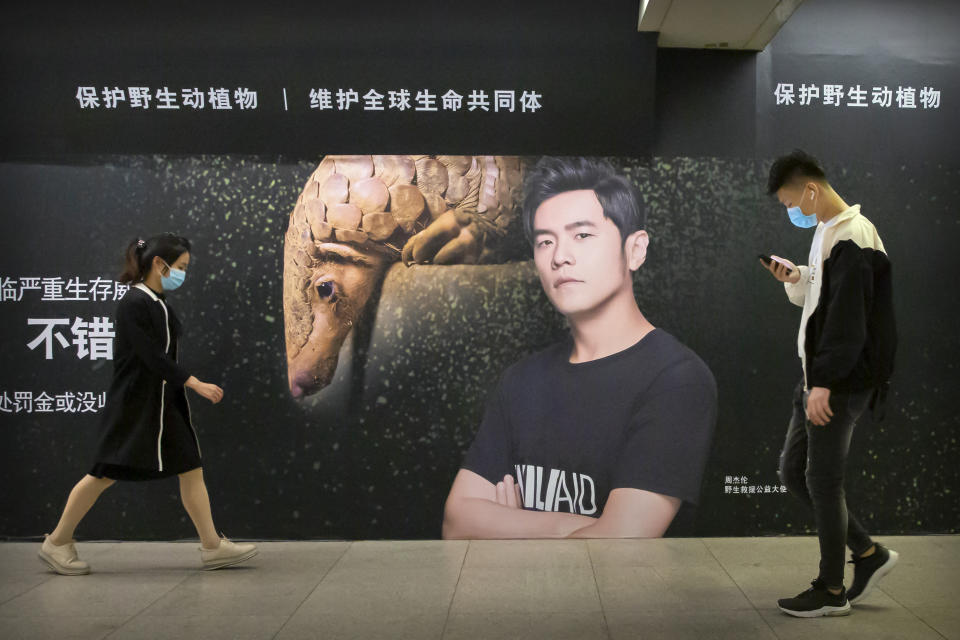 People wear face masks to protect against the spread of the new coronavirus as they walk past a billboard encouraging people to protect pangolins in Beijing, Wednesday, April 15, 2020. China reported several dozen new coronavirus cases on Wednesday, mostly from overseas. (AP Photo/Mark Schiefelbein)