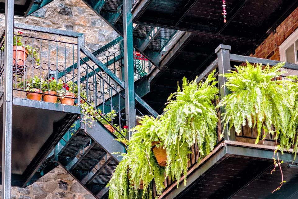 Post-COVID Home, Fire Escape with Plants