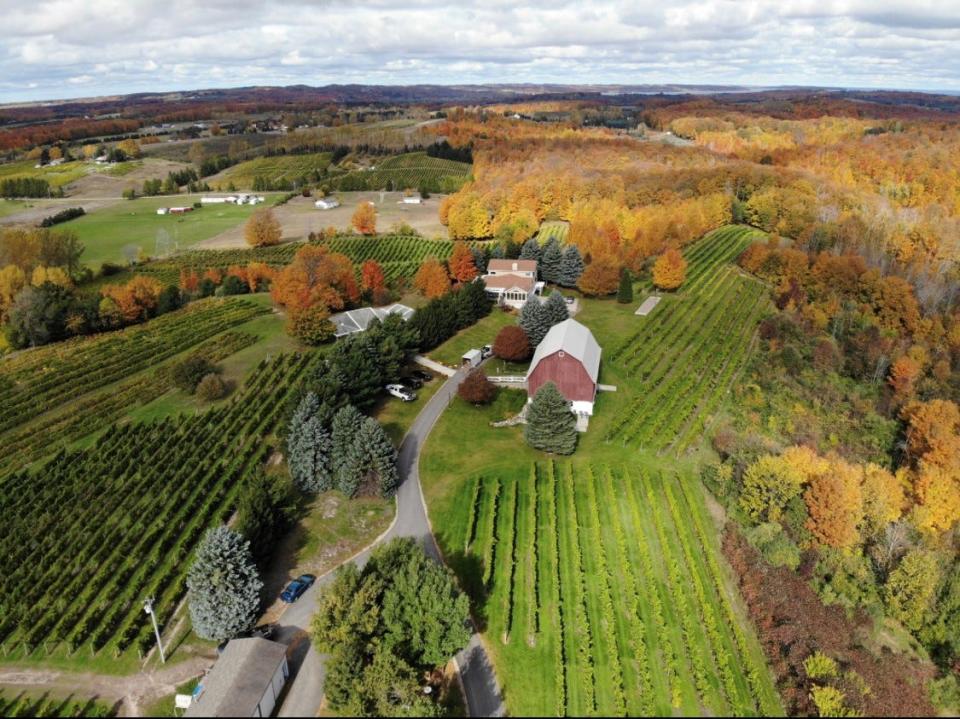 Ciccone Vineyard and Winery, owned by pop singer Madonna's family, is an estate with unobstructed views of Grand Traverse Bay