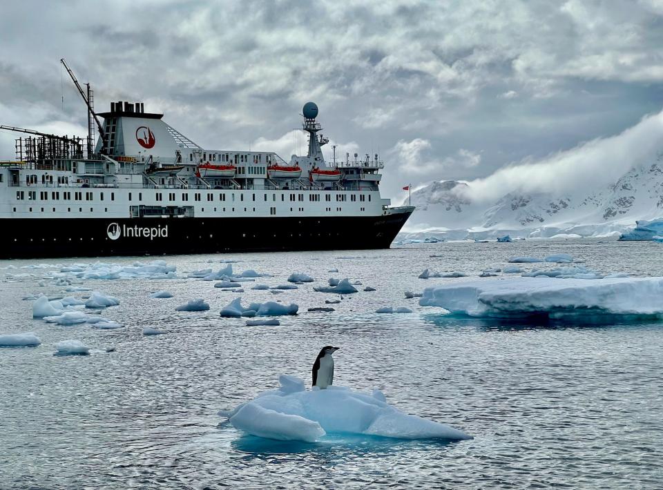 A chinstrap penguin with the Ocean Endeavour in Antarctica.