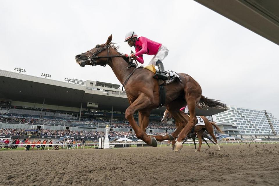 Canadian Triple Crown opens with King's Plate on Aug. 17 at Woodbine