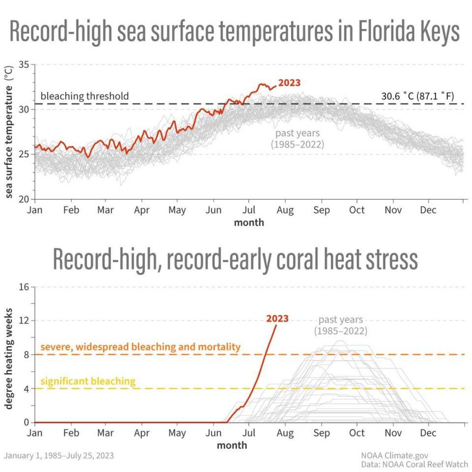 El estrés térmico actual en la Florida no había sido tan alto tan al principio de la temporada desde que comenzaron los registros por satélite en 1985. NOAA
