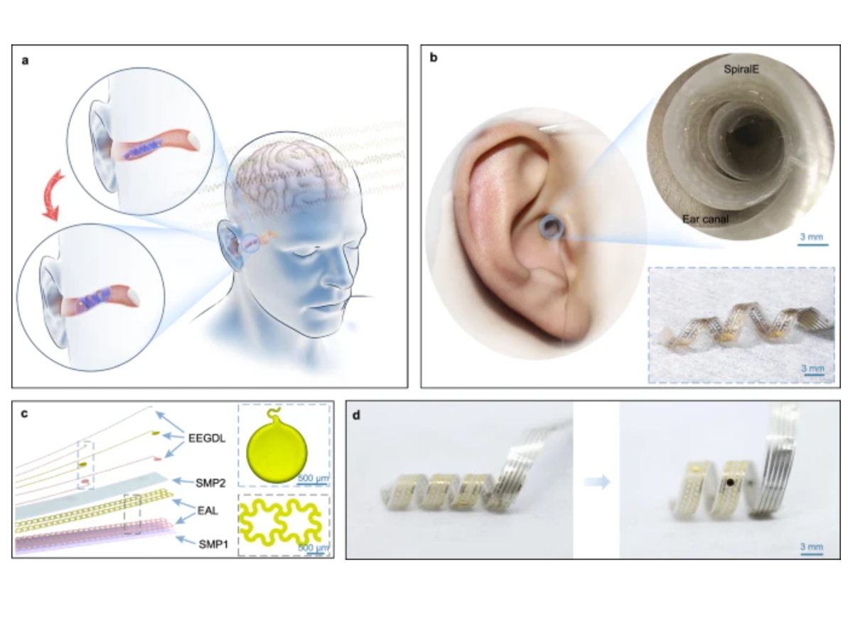 The in-ear brain-computer interface can ‘adaptively expand' (Tsinghua University/ Nature Communications)