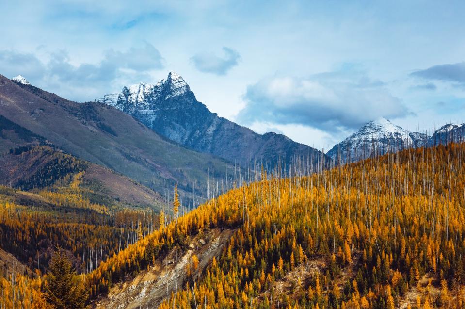 glacier national park