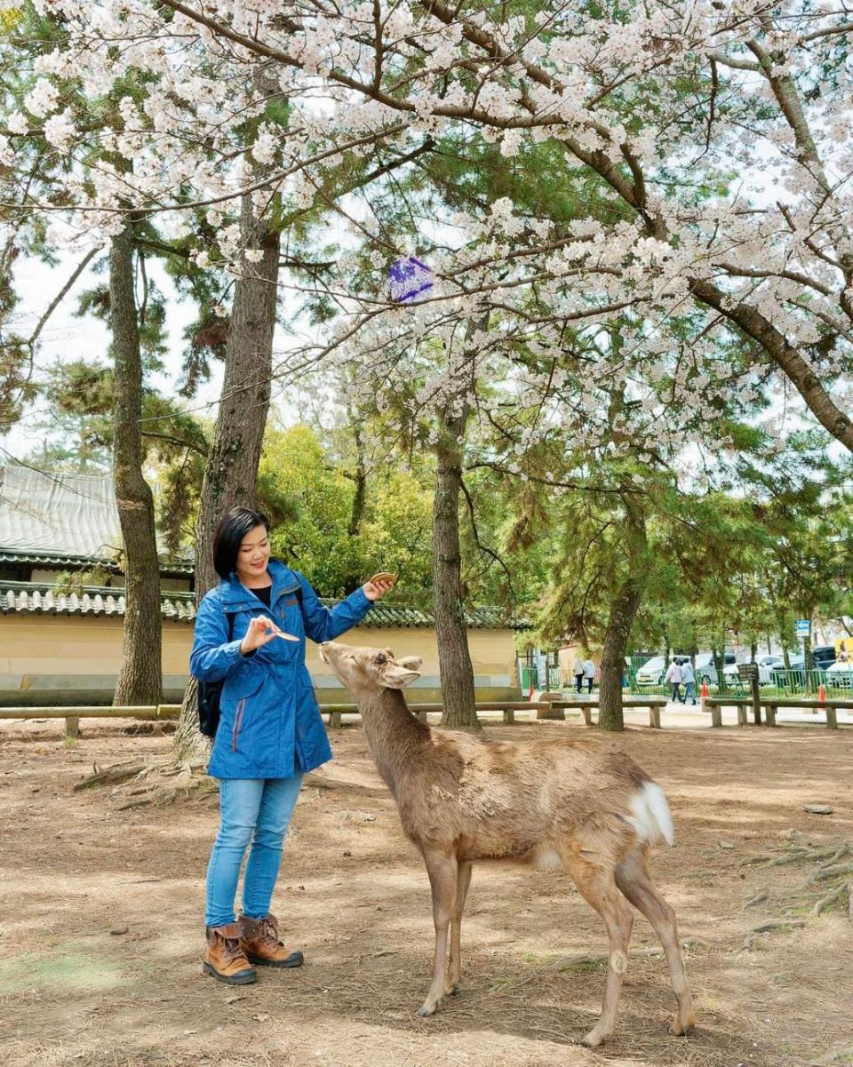 方健儀與老公前往京都旅行