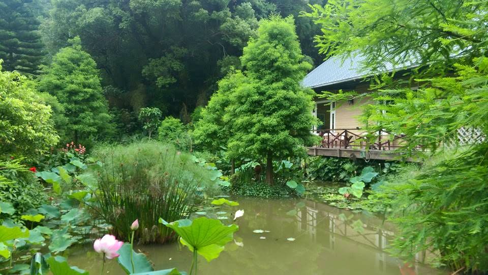 竹圃茶園運用高架法建築小木屋，避免對環境產生傷害。圖／竹圃茶園小木屋臉書粉絲專頁