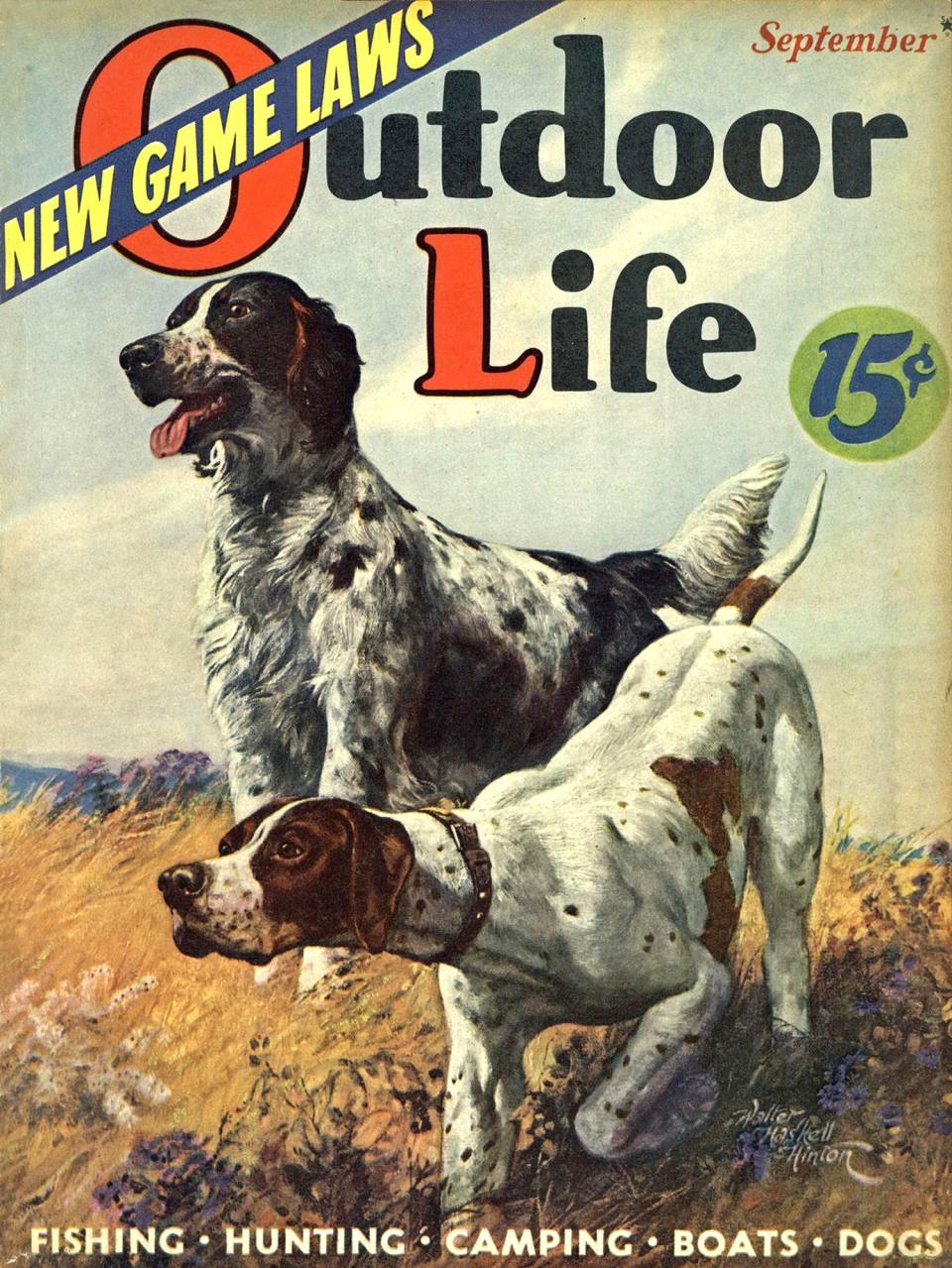 September 1938: OL has always had a soft spot for good gun dogs.