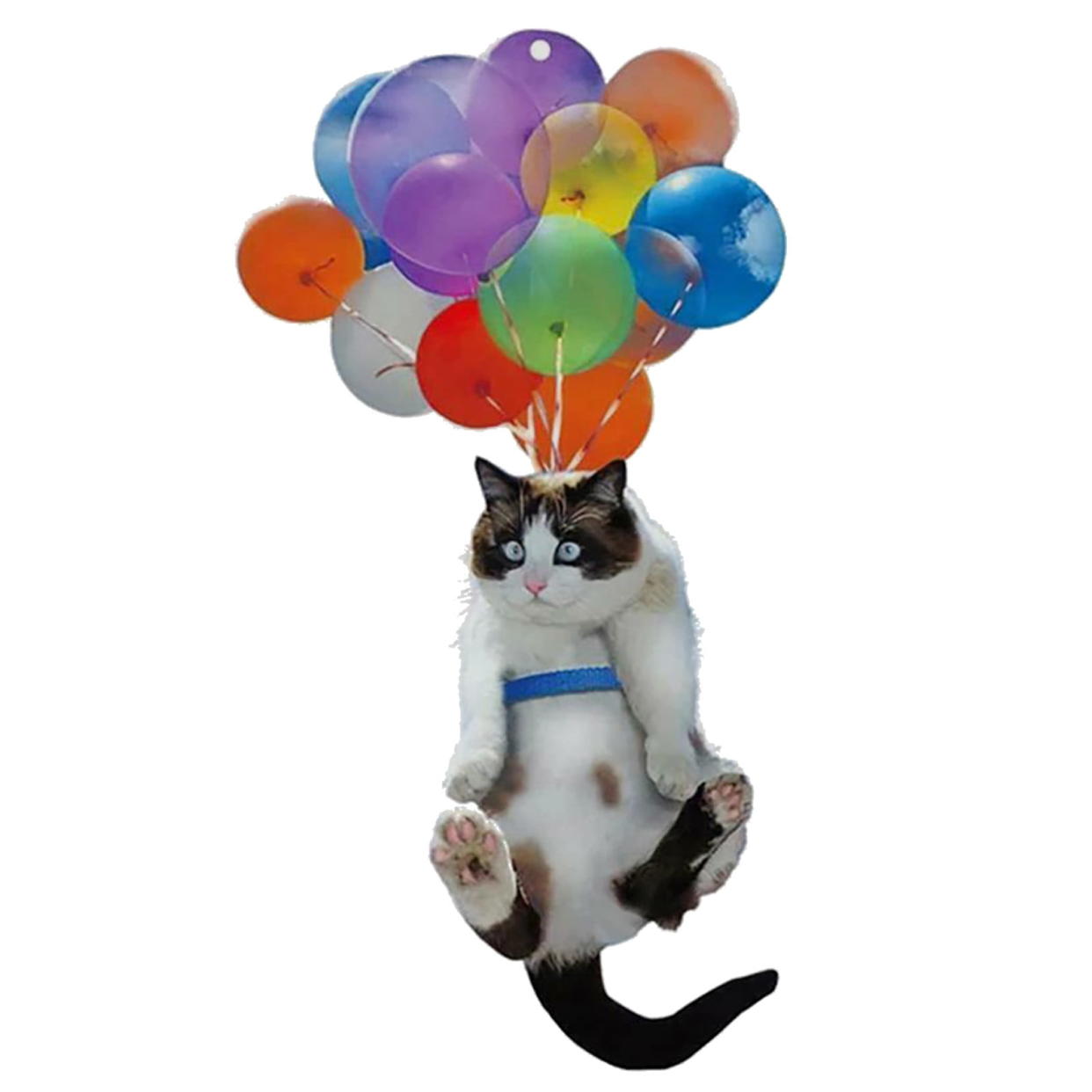 <p><a href="https://go.redirectingat.com?id=74968X1596630&url=https%3A%2F%2Fwww.walmart.com%2Fip%2FBescita-Car-Rearview-Mirror-Pendant-Cute-Funny-Cat-with-Colorful-Balloon-Hanging-Ornament-Decor%2F445286914&sref=https%3A%2F%2Fwww.womansday.com%2Fhome%2Fdecorating%2Fg41404646%2Ffunny-christmas-ornaments%2F" rel="nofollow noopener" target="_blank" data-ylk="slk:Shop Now;elm:context_link;itc:0;sec:content-canvas" class="link rapid-noclick-resp">Shop Now</a></p><p>Cat with Colorful Balloons HOrnament</p><p>walmart.com</p><p>$5.44</p><span class="copyright">Bescita</span>