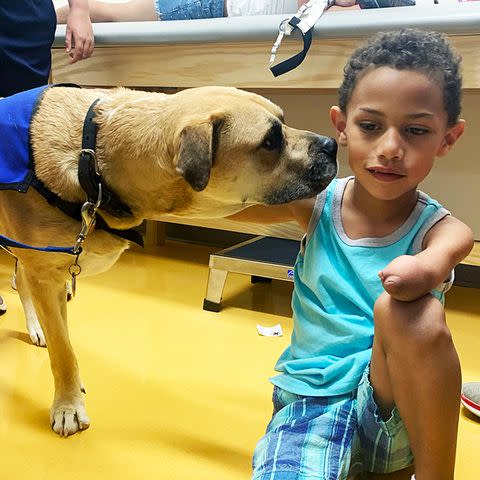 <p>Shrinerâ€™s Childrenâ€™s Lexington</p> Chance the therapy dog visiting a patient at Shriners Children's Lexington