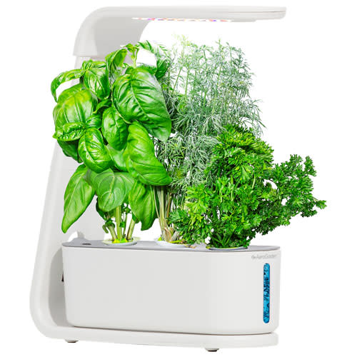 AeroGarden Sprout Hydroponic Garden System. Image via Best Buy.