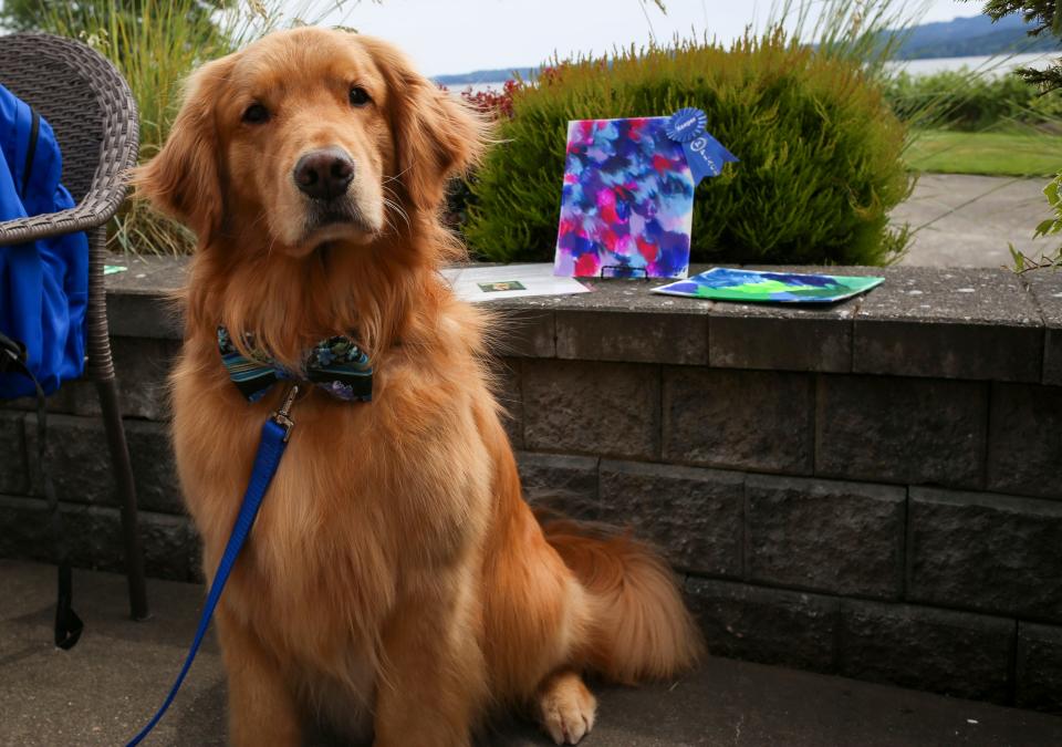 Keeper, a therapy dog for the Kitsap chapter of Therapy Dogs International, sits in front of some paintings he created during the COVID-19 pandemic while the dogs were out of work.