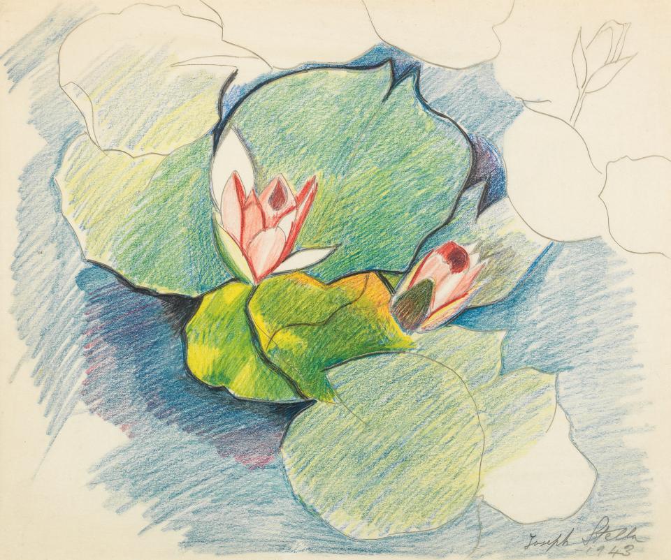 The Joseph Stella exhibit 'Visionary Nature' features 90 paintings and works on paper including renderings of flowers and swans, including the 1943 work 'Two Pink Waterlillies.'