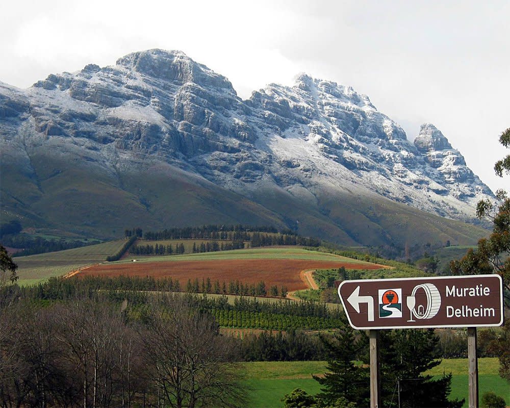 Vinehopper Route, Stellenbosch, South Africa