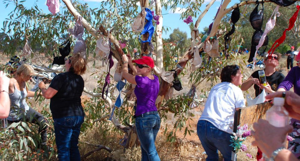 A group of women replace bras on the tree on the Silver City Highway.