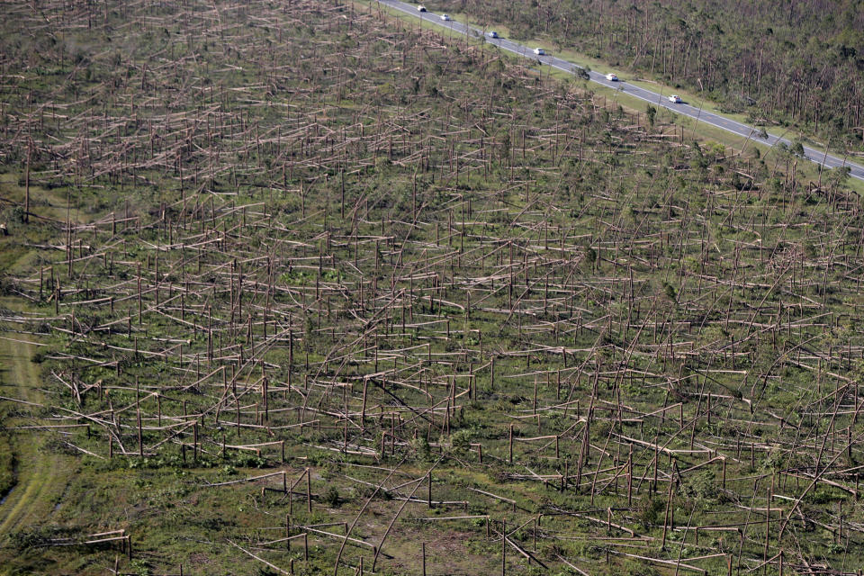 FILE - In this Oct. 12, 2018, file photo, downed trees are seen from the air on Tyndall Air Force Base in the aftermath of Hurricane Michael near Mexico Beach, Fla. It was once argued that the trees would help save Florida’s Panhandle from the fury of a hurricane, as the acres of forests in the region would provide a natural barrier to savage winds that accompany the deadly storms. It’s part of the reason that tighter building codes, mandatory in places such as South Florida, were not put in place for most of this region until just 11 years ago. (AP Photo/Gerald Herbert, File)