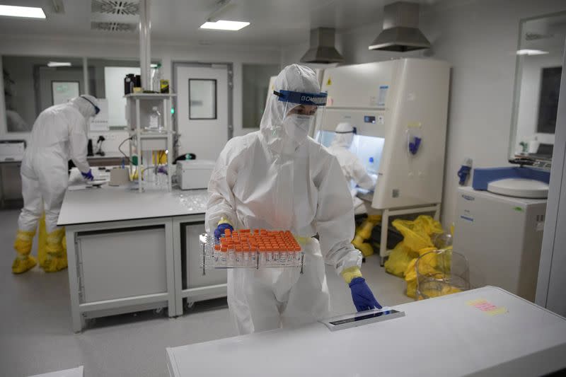 FILE PHOTO: Scientists work with samples taken for testing for the coronavirus disease (COVID-19) in Belgrade
