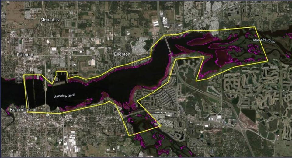 A map shows potential sites for future oyster restoration in the Manatee River. Restoration sites are placed where they don’t interfere with boating and other modern uses of the waterway.