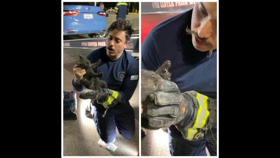 A firefighter holds an ungrateful cat.