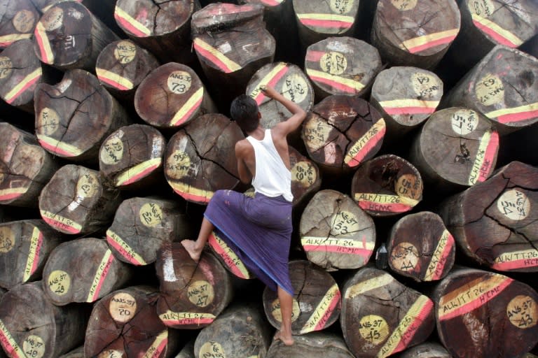 Logging in Myanmar exploded under the country's former junta as the ruling generals tossed aside sustainable forestry practices in a rush to cash in on the country's vast natural resources